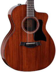 Folk-gitarre Taylor 224ce Plus Special Edition - Natural gloss top